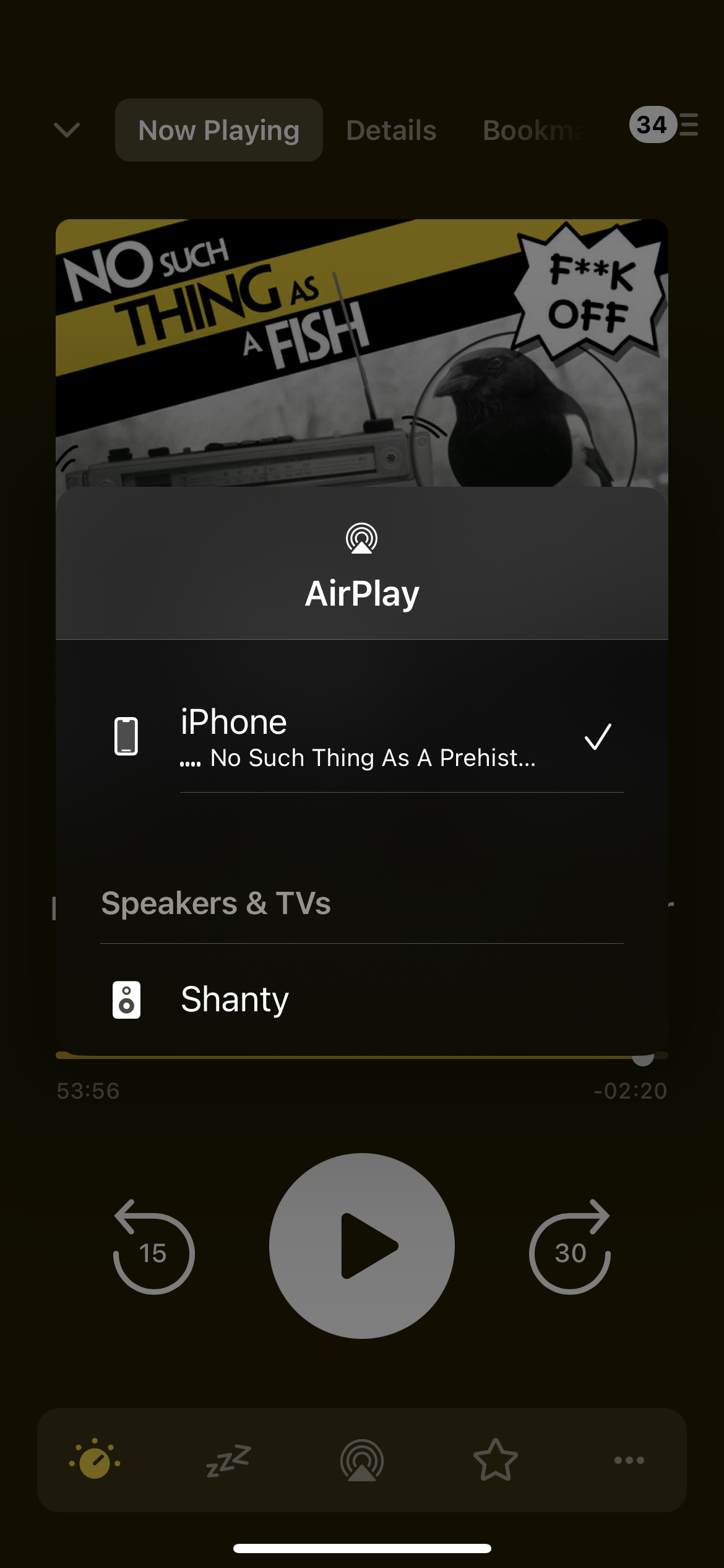 A screenshot from iOS showing the AirPlay menu showing Shanty as a destination under Speakers & TVs
